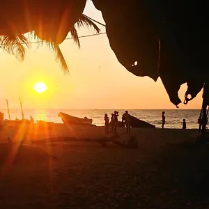 Homestay Grace Negombo